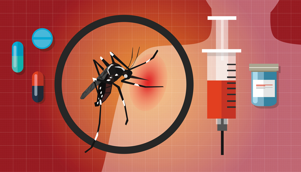 8 cách phòng chống sốt xuất huyết tại nhà