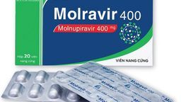 Giá bán thuốc Molnupiravir điều trị COVID-19 vừa được Bộ Y tế cấp phép thế nào? Sử dụng ra sao?