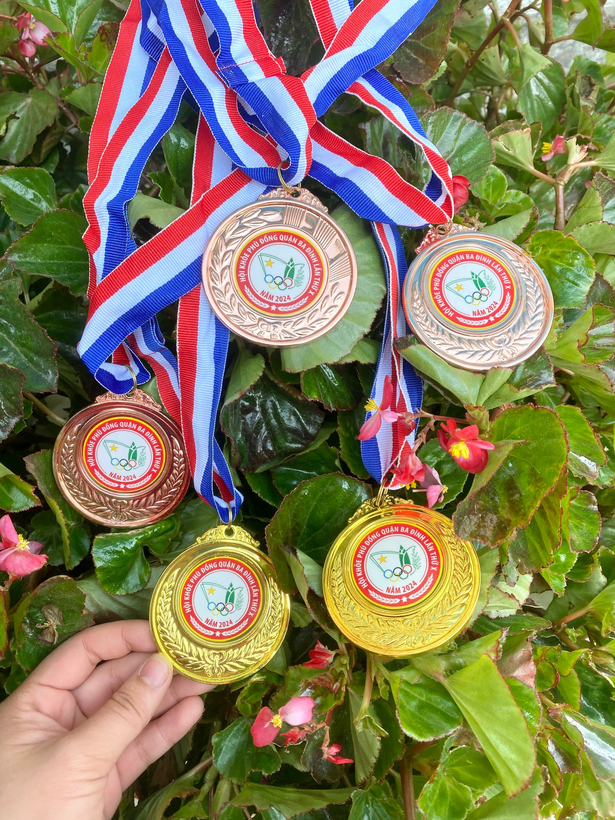 A group of medals from a tree

Description automatically generated